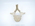 Cetacean vertebra