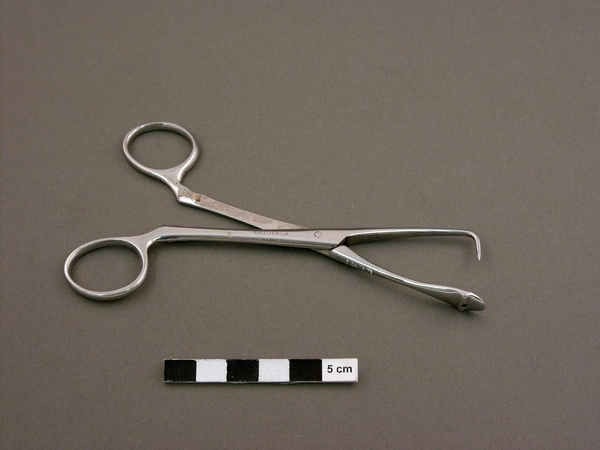 Tongue forceps Faculty of Medicine, Dentistry and Health Sciences