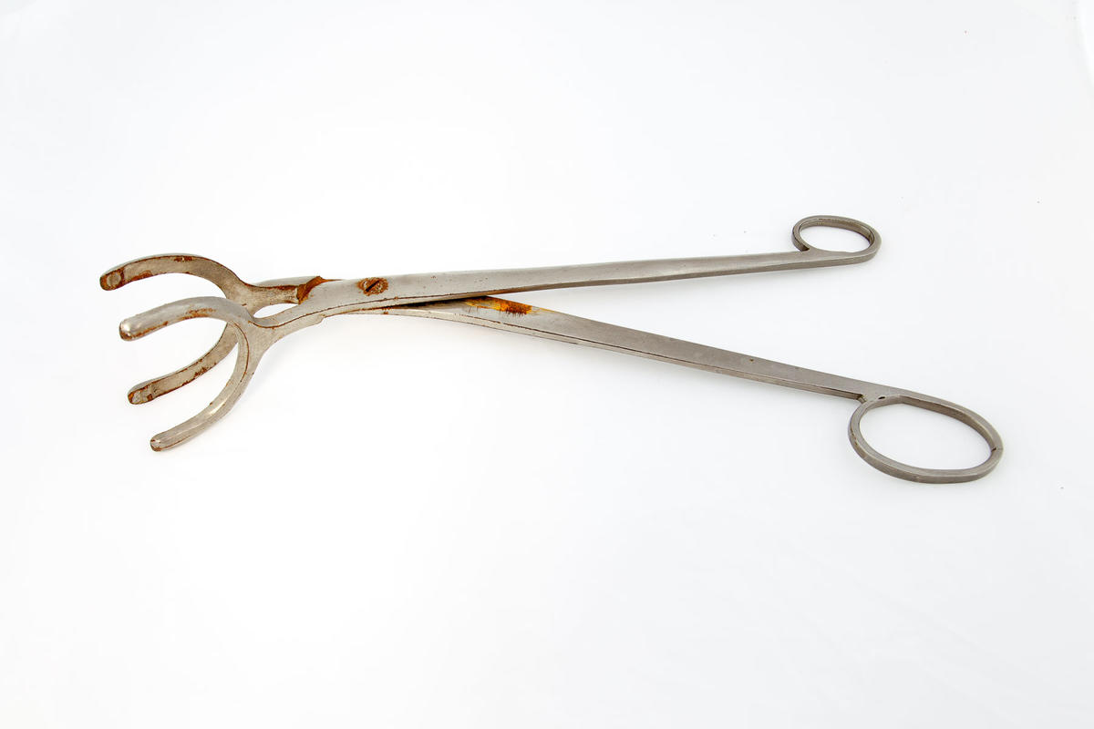 Lifting forceps Faculty of Medicine, Dentistry and Health Sciences