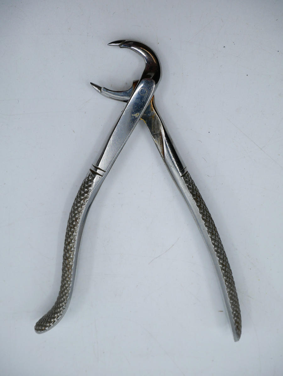 "Eagle beak" Lower tooth forceps dental tool Faculty of Medicine