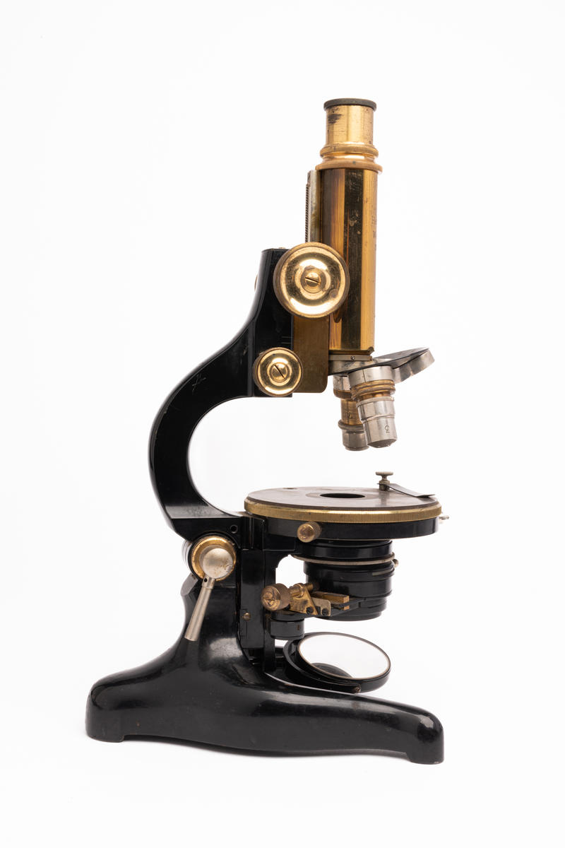 Wetzlar Monocular Compound Microscope Faculty of Medicine, Dentistry and Health Sciences