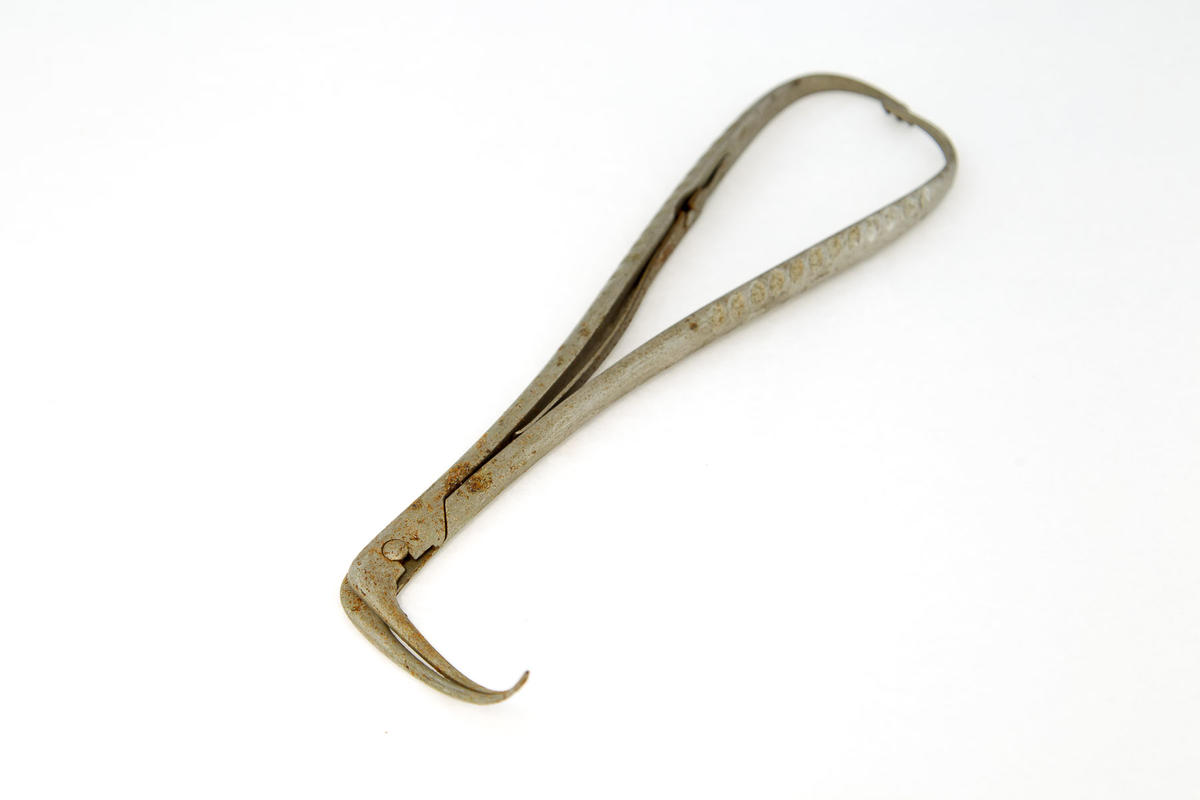 Ligature carrier Perineum needle Faculty of Medicine, Dentistry and