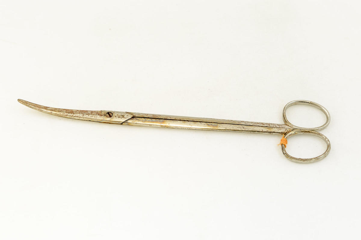 Pincer Scissors Faculty of Medicine, Dentistry and Health Sciences