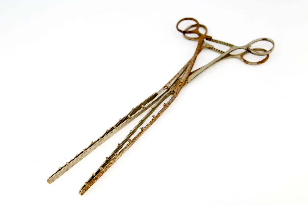 Intestine clamp forceps Faculty of Medicine, Dentistry and Health