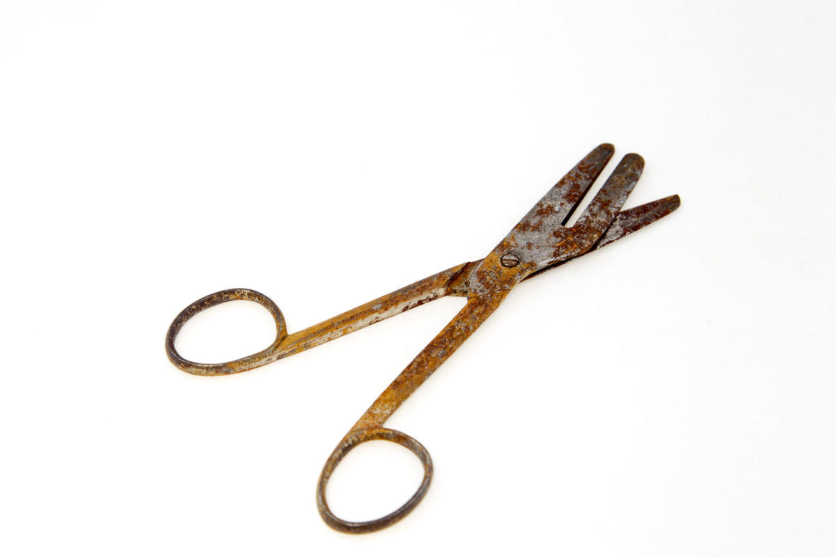 Circumcision scissors - Faculty of Medicine, Dentistry and Health ...
