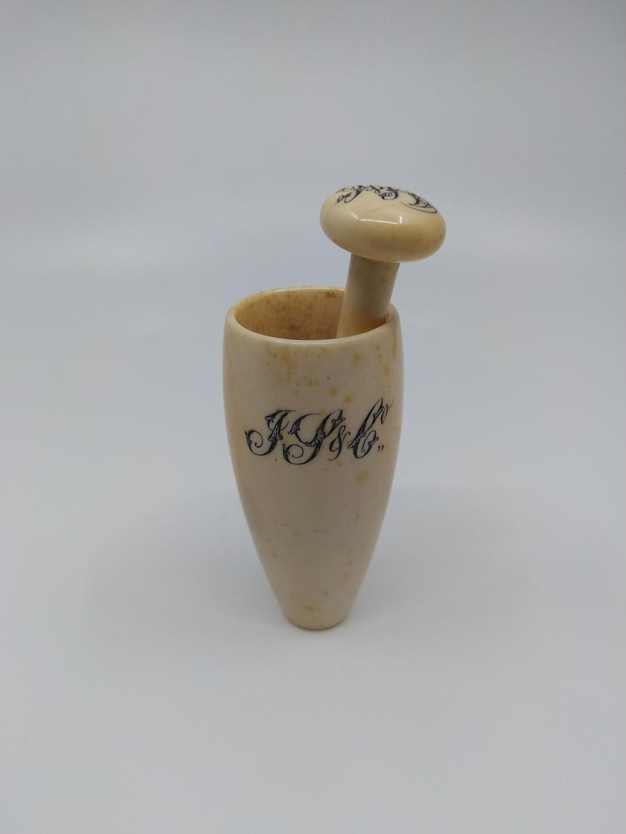 Ivory Spice Pestle and Mortar Faculty of Medicine, Dentistry and