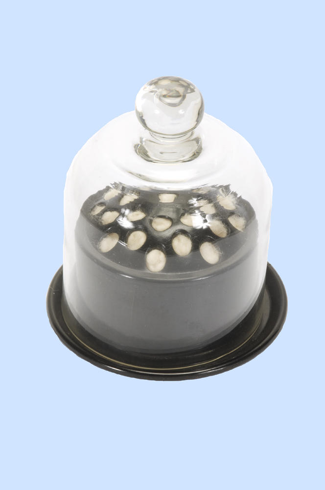 Cotton wool holder Faculty of Medicine, Dentistry and Health Sciences