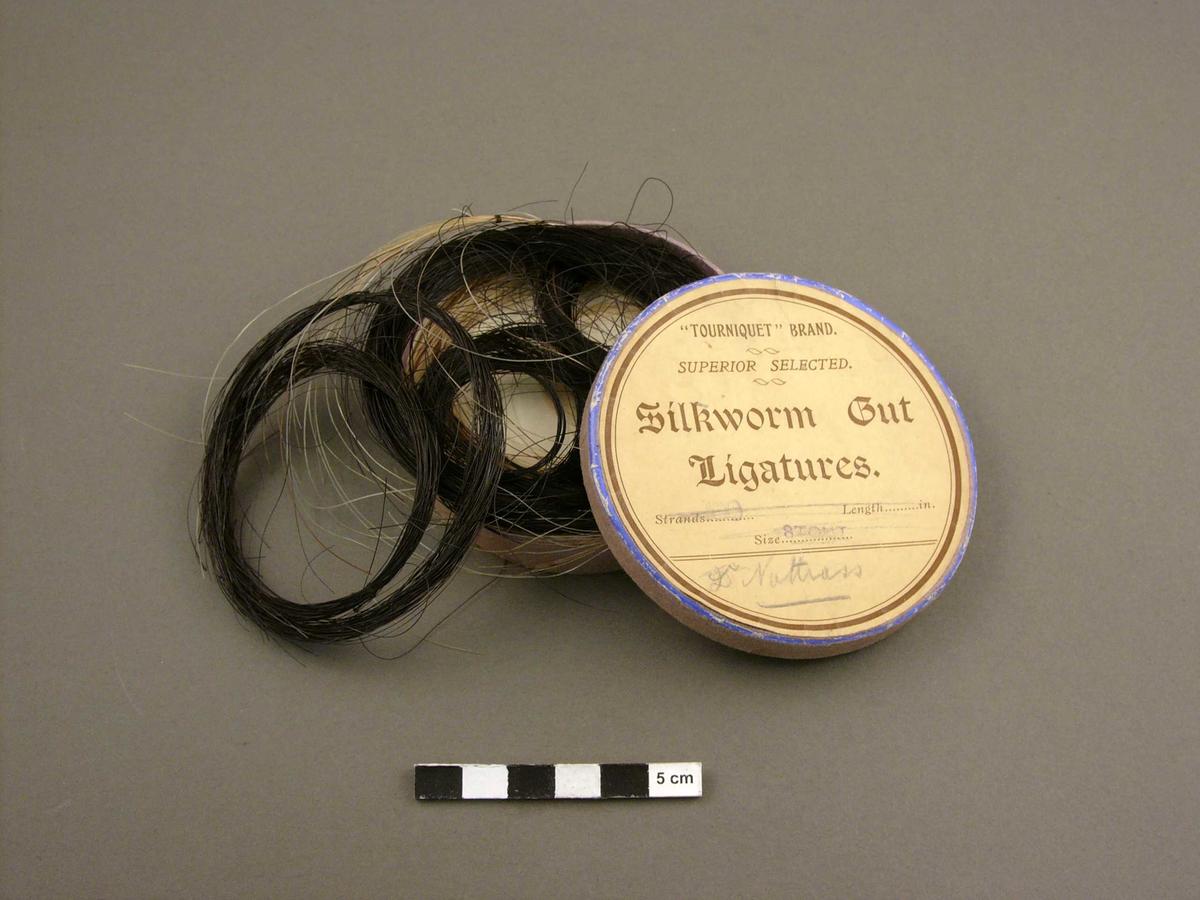 "Tourniquet" Silkworm gut ligatures Faculty of Medicine, Dentistry