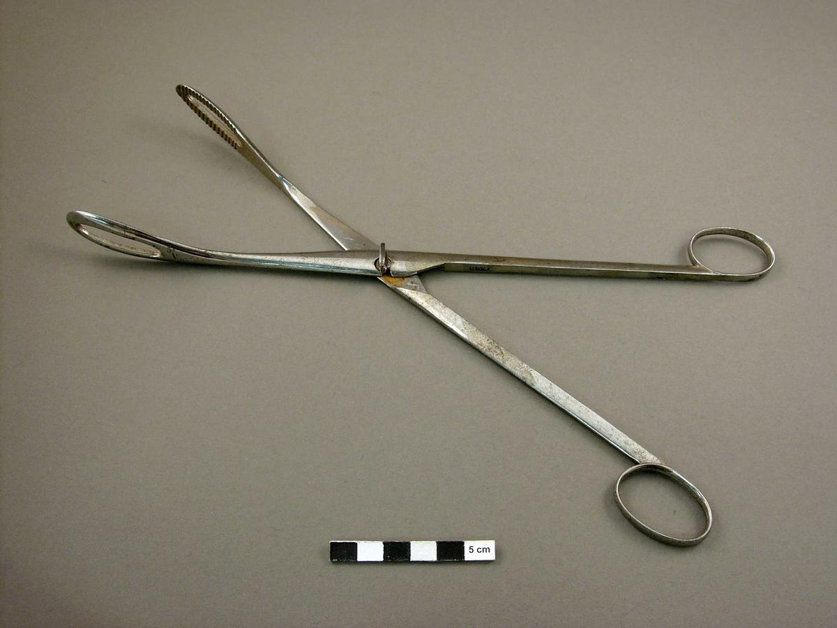 Forceps Uterine polypus forceps with curved head Faculty of Medicine