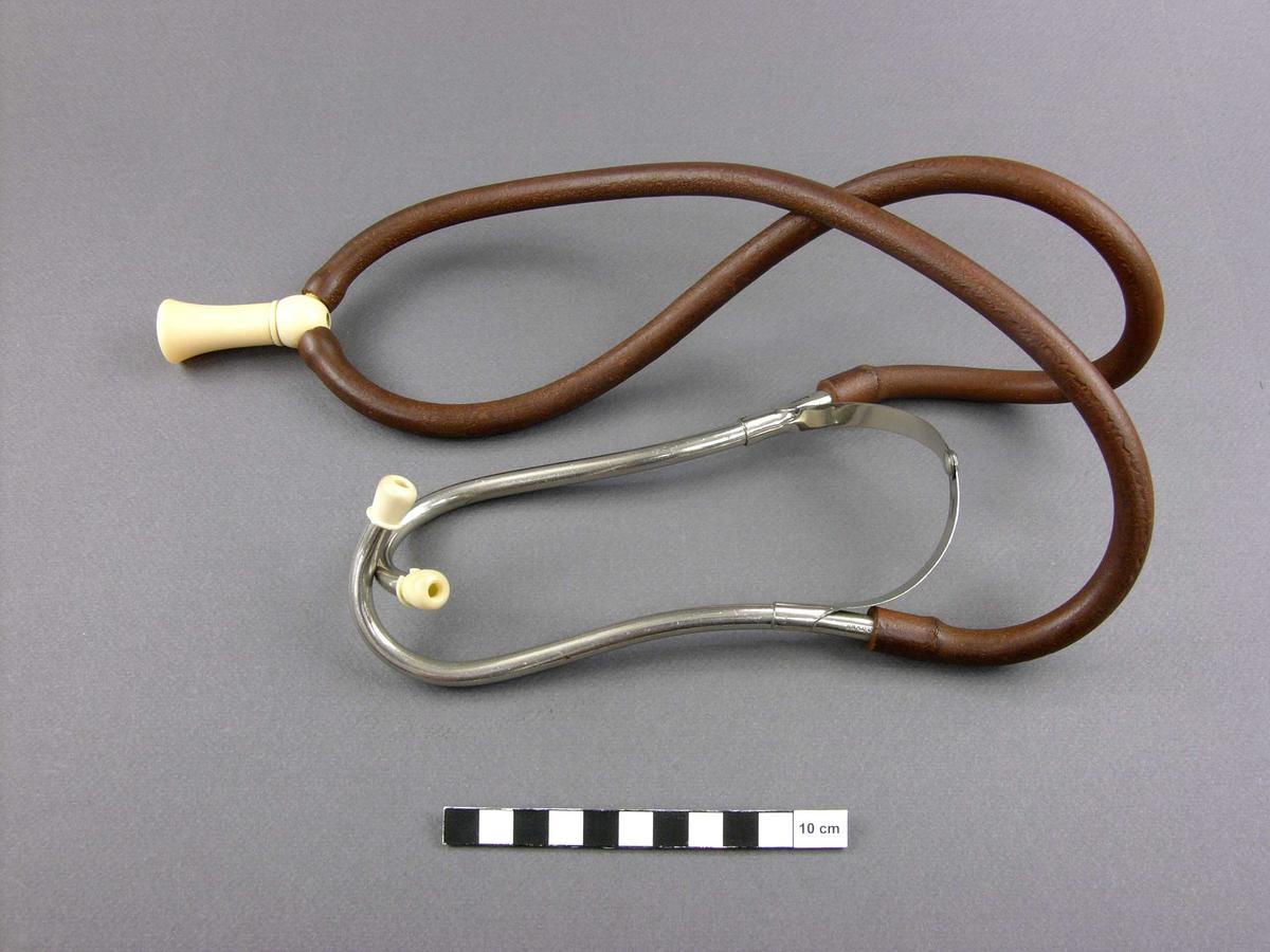 Binaural stethoscope Faculty of Medicine, Dentistry and Health