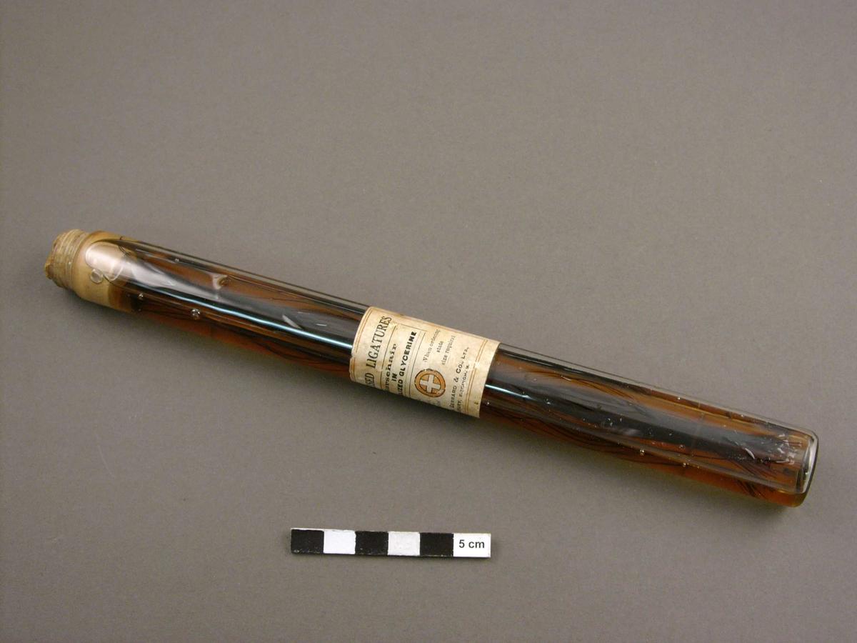 Sterilized Ligatures Horsehair in Carbolized Glycerine Faculty of